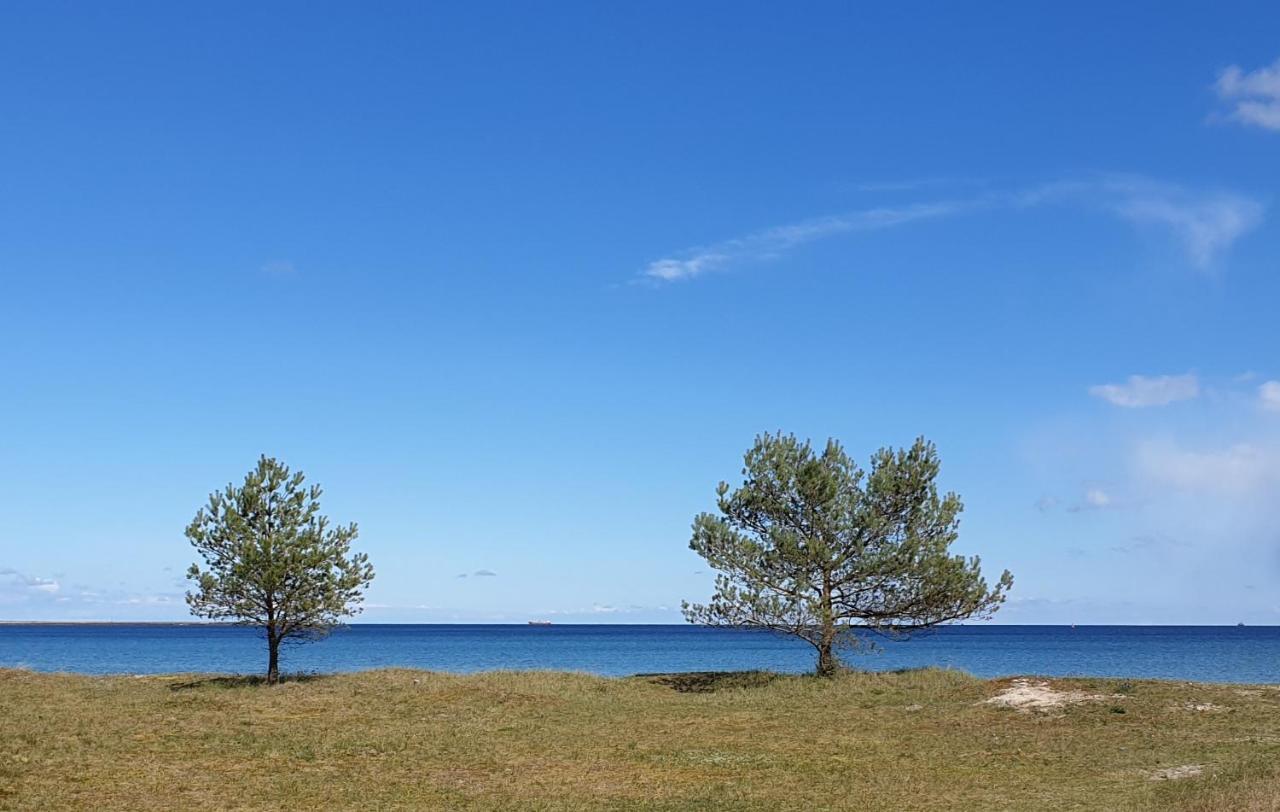 Ferienhaus Ostseeblick Ruegen Сасниц Екстериор снимка